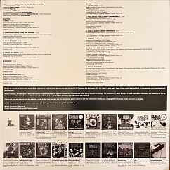 Виниловая пластинка Public Enemy – Black Sky Over The Projects: Apartment 2025 LP