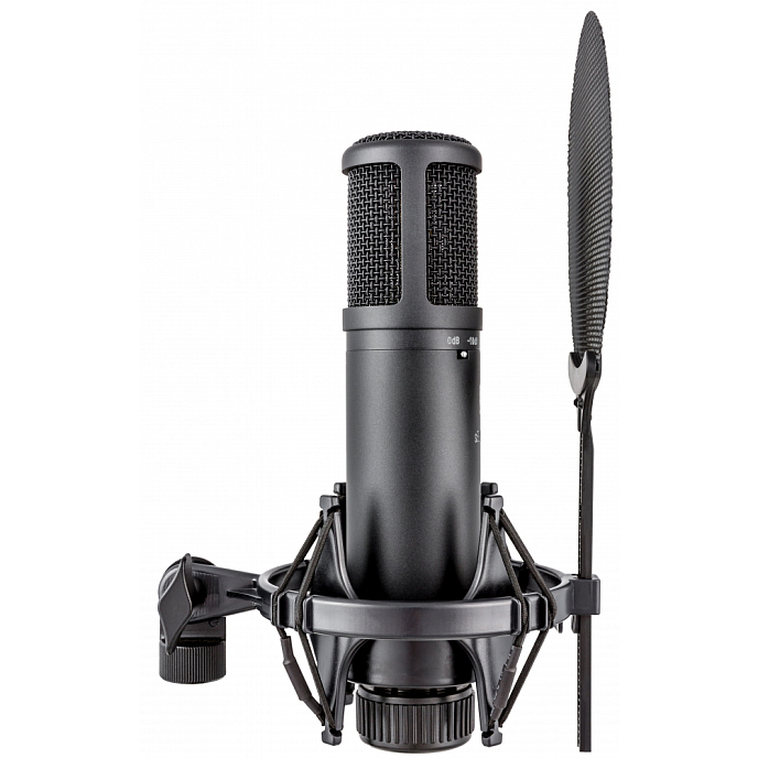 Микрофон студийный SE Electronics SE2200 - рис.3