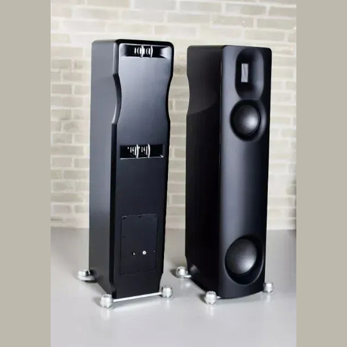 Напольная акустика Borresen Z2 Black Matte - рис.2