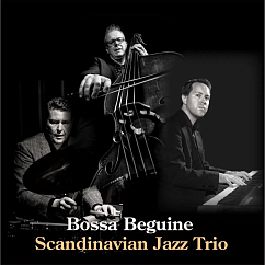 Виниловая пластинка Scandinavian Jazz Trio - Bossa Beguine (Audiophile, Hyper Magnum Sound) - 2LP