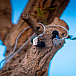 Наушники внутриканальные Campfire Audio Astrolith Stainless Steel - рис.15