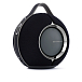 Портативная колонка Devialet Mania Deep Black - рис.1
