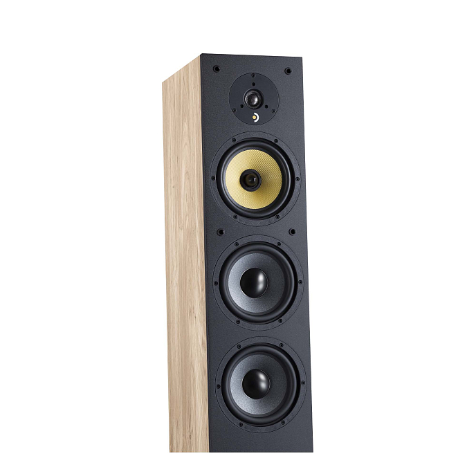 Напольная акустика Davis Acoustics Ariane 7 Light Oak - рис.1