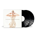 Виниловая пластинка Annie Lennox – The Annie Lennox Collection - 2LP - рис.1