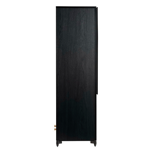 Напольная акустика HECO Aurora XT 1000 Black/Oak