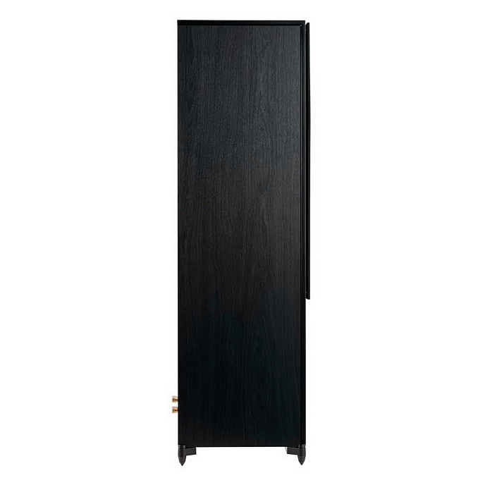 Напольная акустика HECO Aurora XT 1000 Black/Oak - рис.3