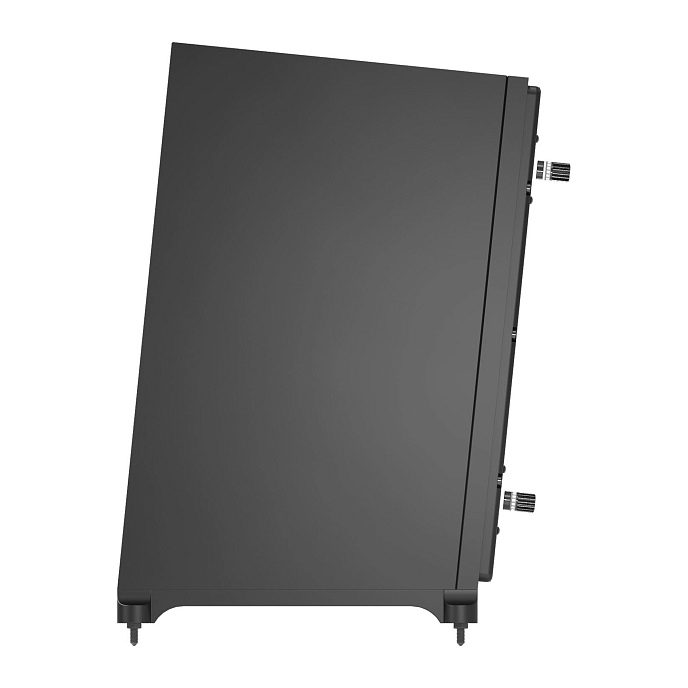 Сабвуфер Gold Note Diana III Subwoofer Black - рис.4