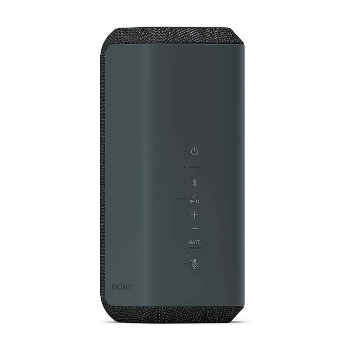 Портативная колонка Sony SRS-XE300 Black - рис.1