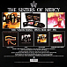 Виниловая пластинка The Sisters Of Mercy - Vision Thing - рис.2