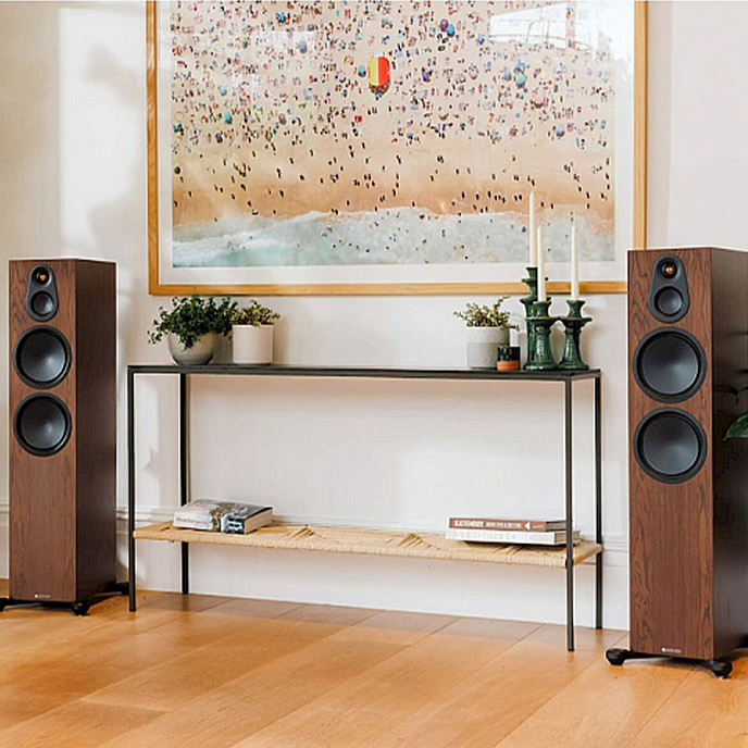 Напольная акустика Monitor Audio Silver 300 (8G) European Walnut - рис.4