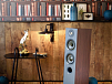 Напольная акустика Focal Chora 816 Dark Wood - рис.6