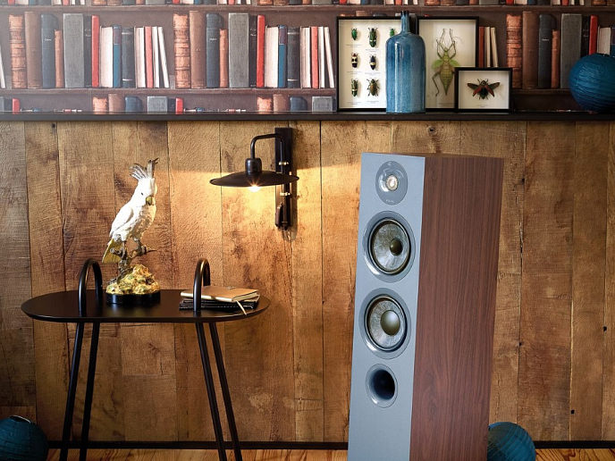 Напольная акустика Focal Chora 816 Dark Wood - рис.6
