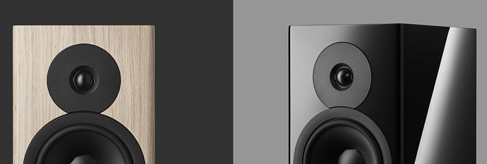 Акустическая система Dynaudio Evoke 20 Walnut Wood - рис.5