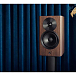 - рис.6 Полочная акустика Dynaudio Focus 10 Walnut Wood - рис.6