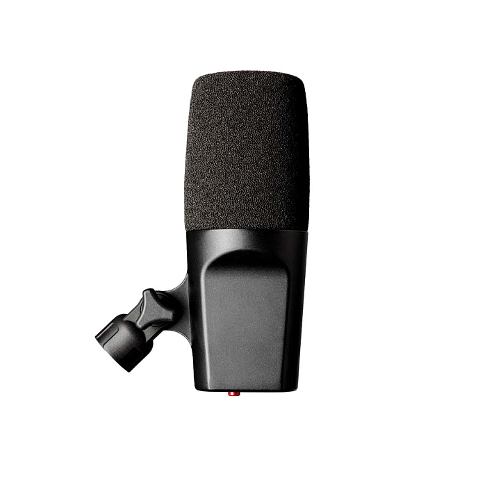 Микрофон студийный SE Electronics DynaCaster DCM6 - рис.1