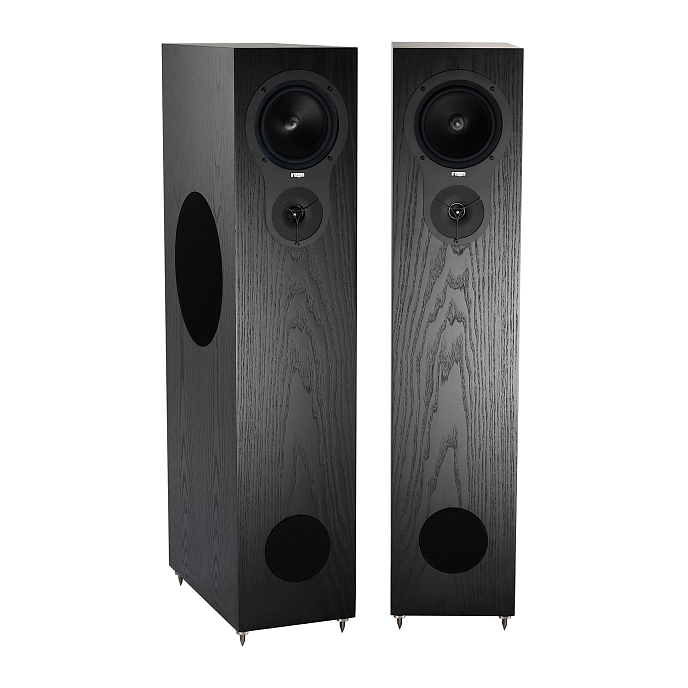 Напольная акустика Rega RX5 Black Ash - рис.2