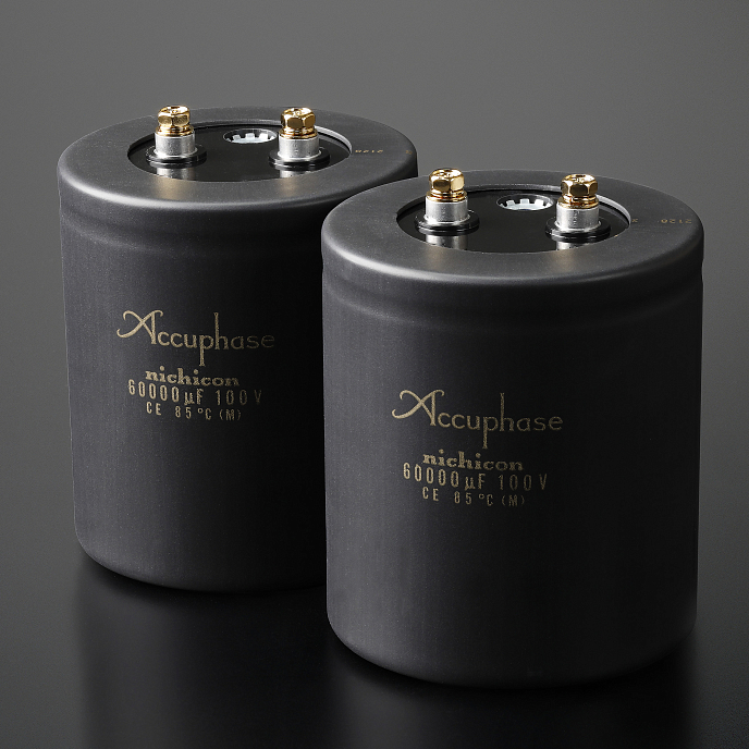 Усилитель мощности Accuphase P-7500 Gold - рис.6