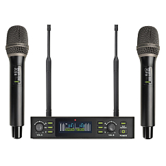 Радиосистема Axelvox DX800FK