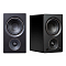 PSB AM5 Black