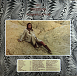 Виниловая пластинка Nico - Desertshore - LP - рис.1