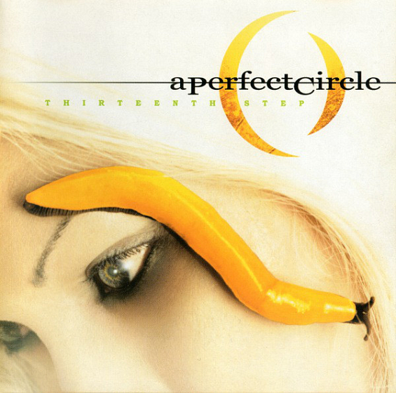 Пластинка A Perfect Circle - Thirteenth Step LP - рис.0