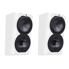 Настенная акустика Perlisten Audio R4s Piano White