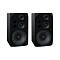 ToneWinner BL-5
