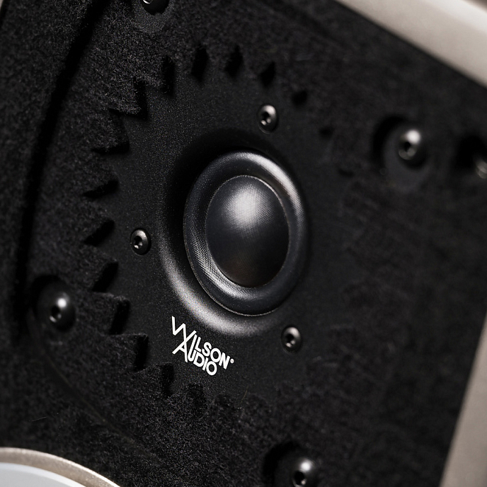 Полочная акустика Wilson Audio TuneTot Galaxy Gray - рис.8