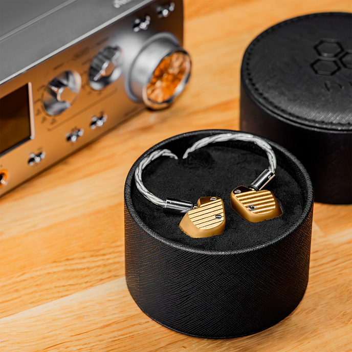 High End наушники Final Audio A10000 Collector’s Edition Gold - рис.8