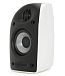 Акустическая система Polk Audio TL1 white - рис.4
