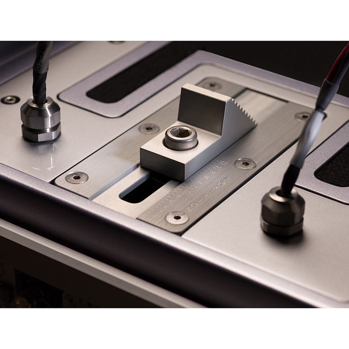 Напольная акустика Wilson Audio Alexia Series 2 GT Silver - рис.4