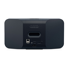 Беспроводная акустика Bluesound Pulse mini 2i Black