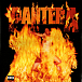 Виниловая пластинка Pantera - Reinventing The Steel - LP - рис.1