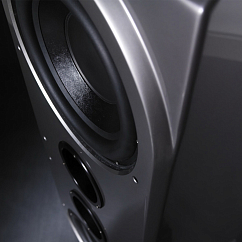 Сабвуфер Wilson Audio Thor Hammer Subwoofer Carbon