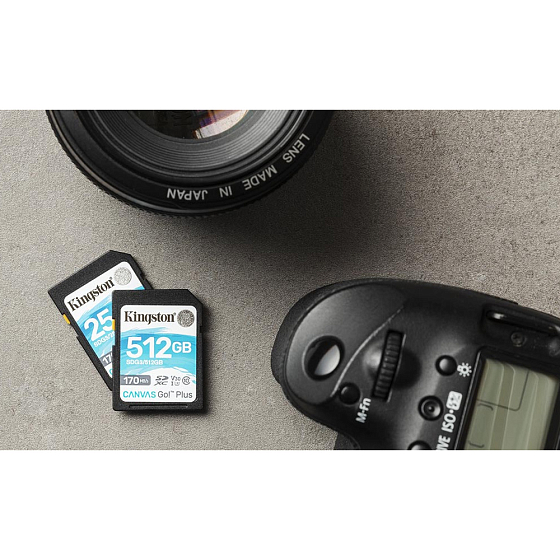 Карта памяти kingston canvas go plus sdxc 256 гб sdg3 256gb