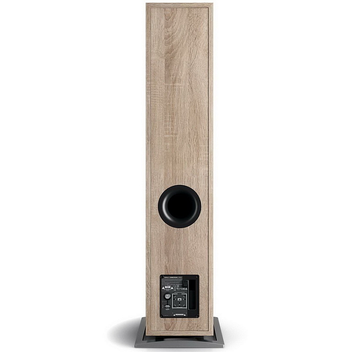 Напольная акустика Dali Oberon 7 C Light Oak + Sound Hub Compact - рис.1