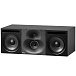 Центральный канал Genelec 1238ACPM-HU Black - рис.2