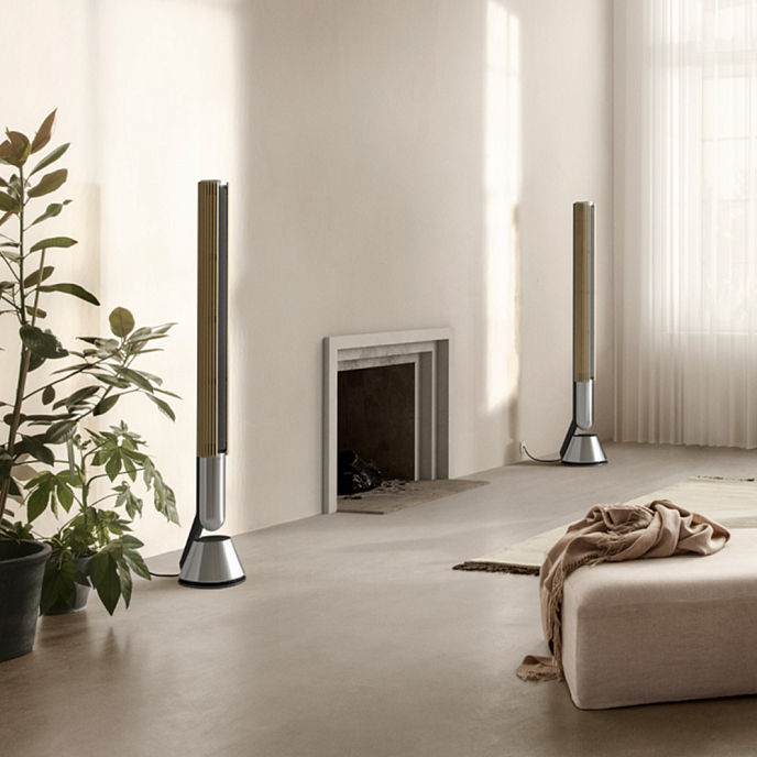 Напольная акустика Bang & Olufsen Beolab 28 with Gold Tone/Dark Oak - рис.5