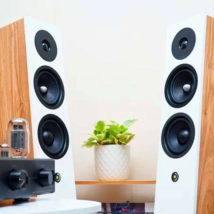 Напольная акустика Davis Acoustics Krypton 6 Nordik White - рис.6