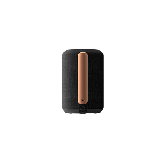 Портативная колонка Sony SRS-RA3000 Black - рис.1