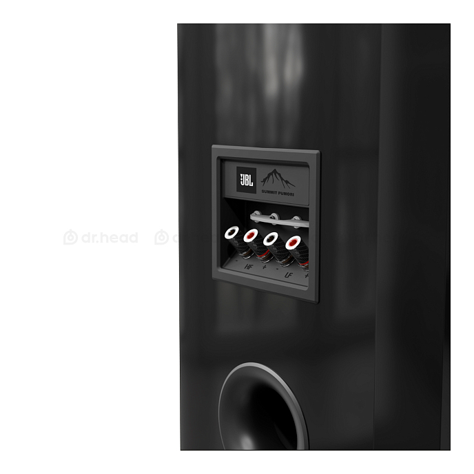 Напольная акустика JBL Summit Pumori Black - рис.9