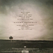 Виниловая пластинка Frightened Rabbit - Painting Of A Panic Attack - рис.3