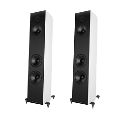 Напольная акустика Acoustic Energy Corinium Matte White