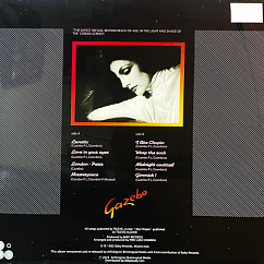 Виниловая пластинка Gazebo – Gazebo LP