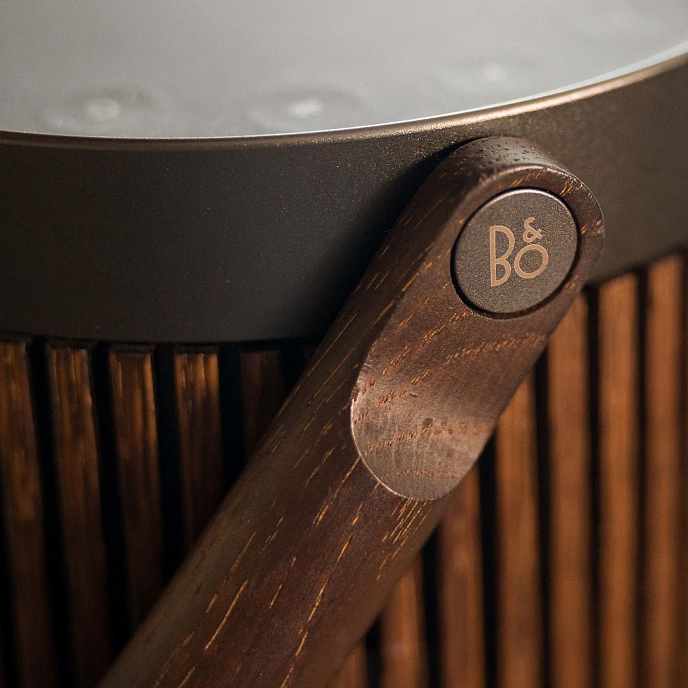 Портативная колонка Bang & Olufsen Beosound A5 Dark Oak - рис.13