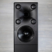 Напольная акустика Genelec 8381A Black - рис.9