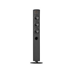 Напольная акустика Piega Ace 50 Black