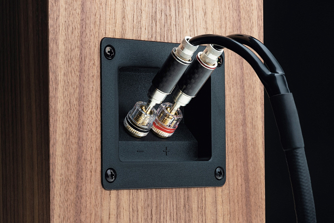 Полочная акустика Pro-Ject AC Speaker Box 5 S2 Walnut - рис.2