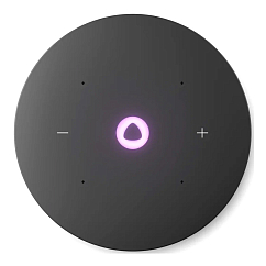 Умная колонка Яндекс Станция Мини 3 Про с Zigbee Black