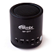 Портативная колонка RITMIX SP-077 Black - рис.0